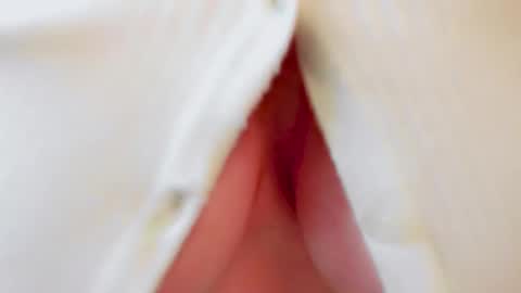 Snapshot of samantha_larusso_ chatting on October 2025 12:30:02 PM Andy online show from October 2025 12:30:02 PM