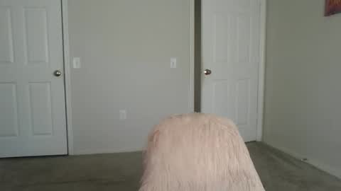 Snapshot of samanthaporsha chatting on September 2025 01:55:01 PM samanthaporsha online show from September 2025 01:55:01 PM