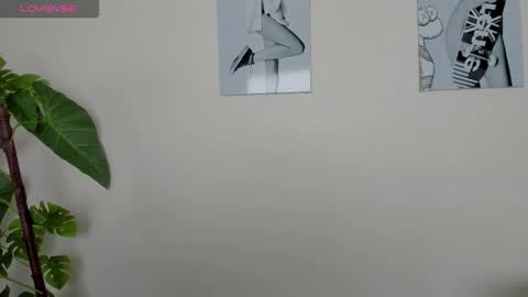 Samay online show from November 2025 02:17:02 PM