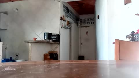 samigelalcangel online show from February 2026 05:28:02 PM