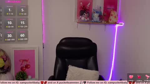 Snapshot of sampuckettbaby chatting on March 2025 04:11:02 PM sampuckettbaby online show from March 2025 04:11:02 PM