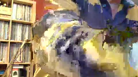 Snapshot of samsenior70 chatting on November 2025 11:58:02 PM Sam online show from November 2025 11:58:02 PM