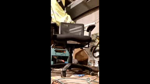 samueleknx online show from April 2026 06:05:01 AM