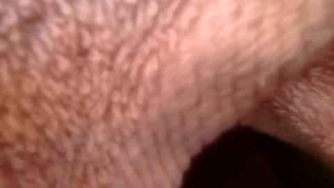 Snapshot of samueltal chatting on February 2026 09:21:02 AM samueltal online show from February 2026 09:21:02 AM