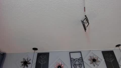 Samy  online show from October 2025 11:42:01 AM