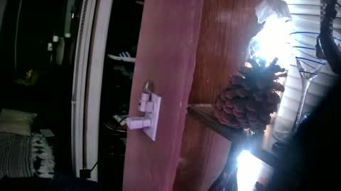 samys1234 online show from May 2026 08:19:01 AM