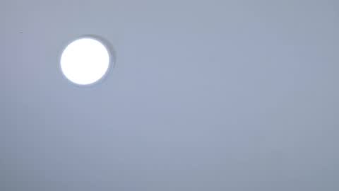 Sara Lugo  online show from May 2026 12:45:02 PM