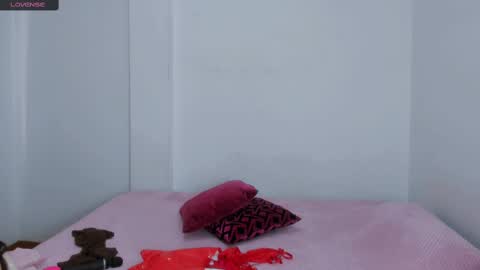 Snapshot of sarasweet_4 chatting on March 2025 05:29:02 PM Sara online show from March 2025 05:29:02 PM