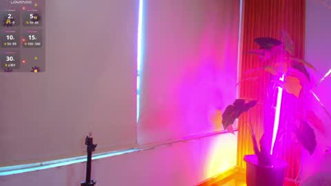 sasha_gracee_ online show from April 2026 01:00:02 PM