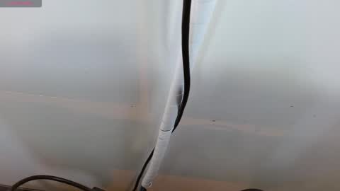 sasha_kinsley online show from February 2026 09:31:01 PM