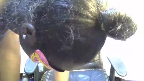 sasha_sexy769 online show from November 2025 07:10:01 PM