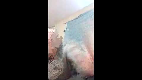 sassysocialite online show from February 2026 09:26:01 AM