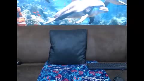 sasyylissaa online show from March 2025 07:39:01 PM