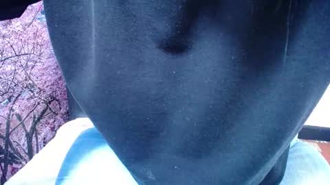 Savana online show from February 2026 03:11:01 PM