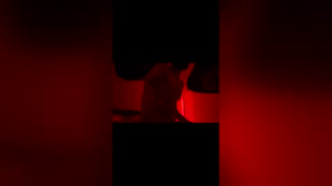 Snapshot of sbsesh chatting on February 2026 12:02:02 PM sbsesh online show from February 2026 12:02:02 PM