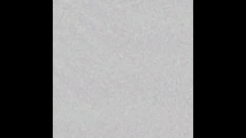 Venus online show from November 2025 02:50:01 PM