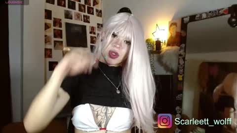 scarlet wolfindependient model online show from November 2025 11:35:01 AM