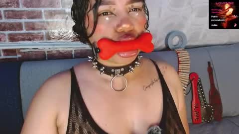 Scarlet online show from May 2026 11:02:02 PM
