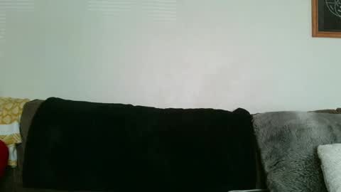 Snapshot of scarletbean chatting on March 2025 12:11:02 AM scarletbean online show from March 2025 12:11:02 AM