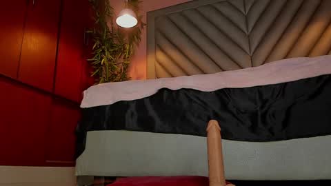 Snapshot of scarletdavis_ chatting on February 2025 09:47:02 AM Scarlet Dayana online show from February 2025 09:47:02 AM