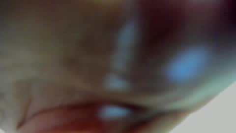 Snapshot of scarlett_zin chatting on March 2026 04:51:01 PM Scarlett zin follow me online show from March 2026 04:51:01 PM