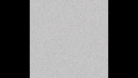 scarlettgracevip online show from January 2026 12:48:01 AM