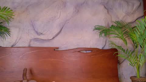 scarlettsinclaiir_ online show from June 2026 04:02:02 AM