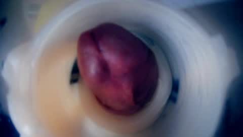 Scarr online show from February 2026 12:20:01 PM