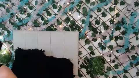 SCARLET online show from January 2026 10:42:02 AM