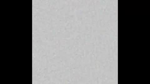 Scolw  online show from December 2025 11:47:01 AM