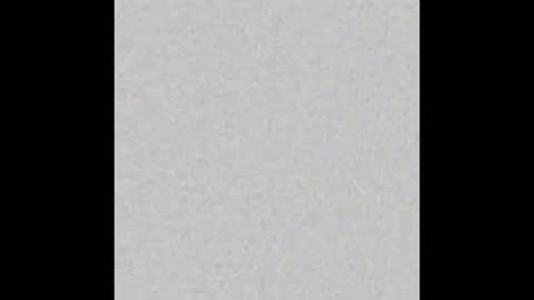 Scolw  online show from February 2026 11:46:02 AM