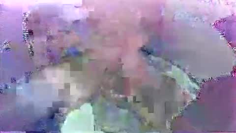 Snapshot of scoobydueingu69 chatting on November 2025 10:08:02 AM scoobydueingu69 online show from November 2025 10:08:02 AM