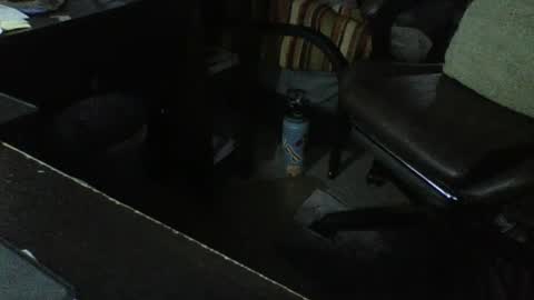 Scorp online show from July 2026 07:49:01 PM
