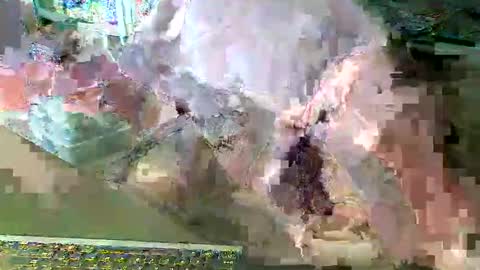 Snapshot of scotthard chatting on March 2026 06:57:01 PM scotthard online show from March 2026 06:57:01 PM