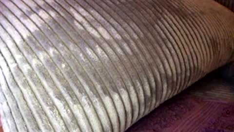 scotty2hotty46_ online show from February 2026 05:41:02 AM