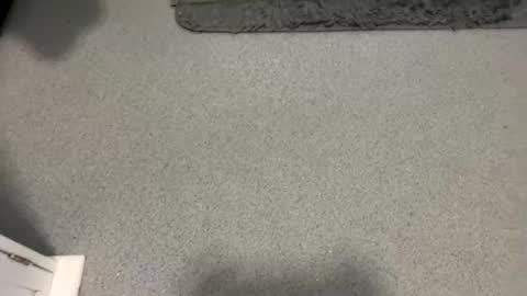 scottyc48 online show from October 2025 02:04:01 PM