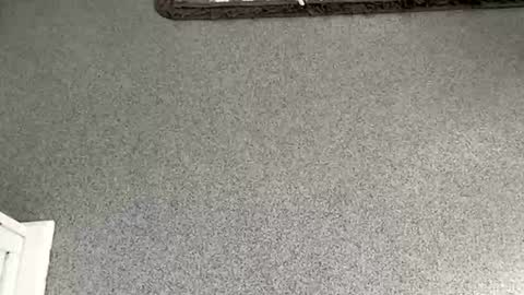 scottyc48 online show from November 2025 10:04:02 AM