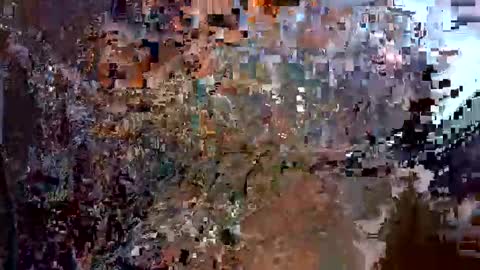 scoutiii online show from September 2025 11:37:02 AM