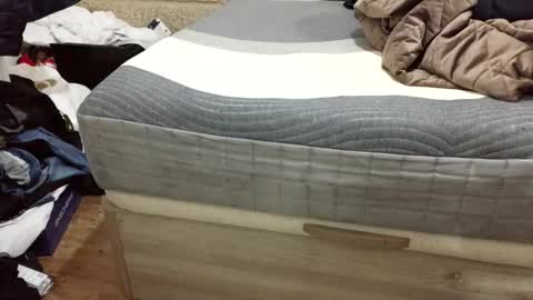 scubi007 online show from November 2025 10:12:01 PM