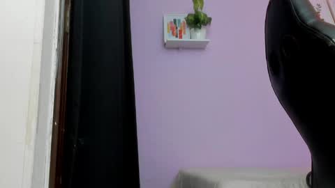 SEBAS online show from April 2026 04:11:01 PM