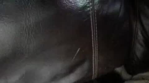 Sunny online show from January 2026 06:40:01 AM