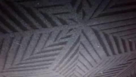 Sunny online show from March 2026 06:36:01 PM