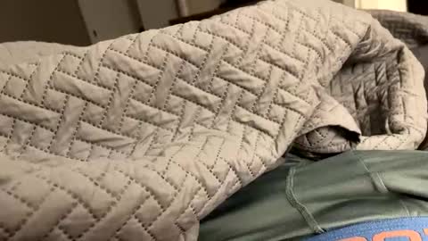 Snapshot of secretlyseductive9399 chatting on December 2024 01:14:01 PM secretlyseductive9399 online show from December 2024 01:14:01 PM