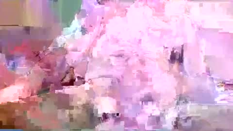 Snapshot of seekinghost chatting on May 2026 01:25:02 AM seekinghost online show from May 2026 01:25:02 AM