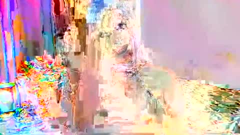 Selena online show from September 2025 01:31:02 AM