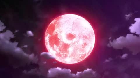 Selene G  online show from May 2026 03:15:01 AM