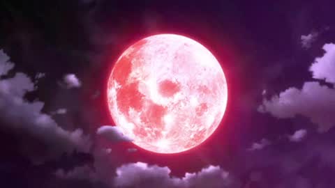 Selene G  online show from May 2026 02:51:02 AM