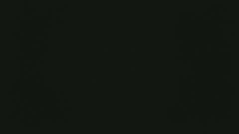 Snapshot of selfpound chatting on December 2025 04:33:01 PM selfpound online show from December 2025 04:33:01 PM