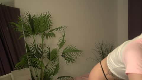 sweetie Selin 3 online show from November 2025 05:42:02 AM