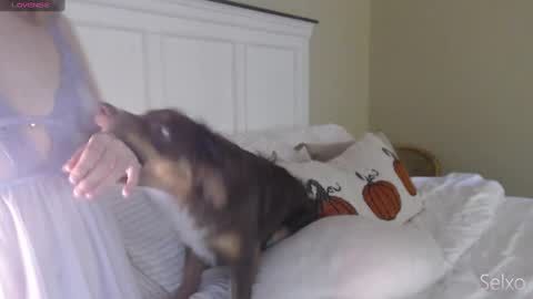 Sel online show from October 2025 01:33:02 PM